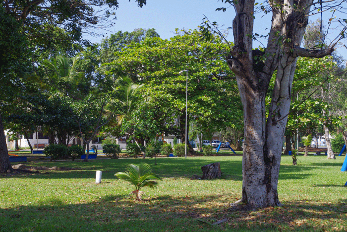 Área de parque abierto en Parque Gándara